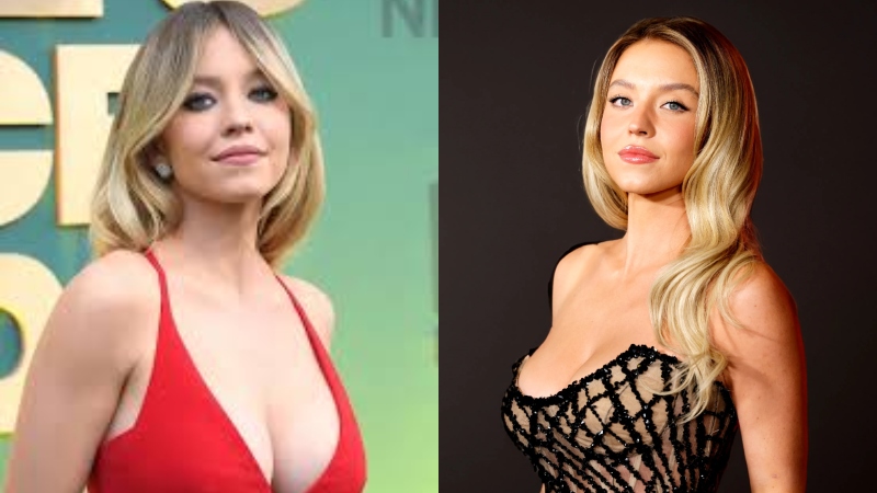 Sydney Sweeney Boobs: Talented Actress and Rising Star